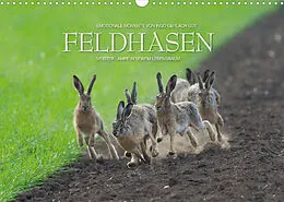 Kalender Emotionale Momente: Feldhasen / CH-Version (Wandkalender 2022 DIN A3 quer) von Ingo Gerlach GDT