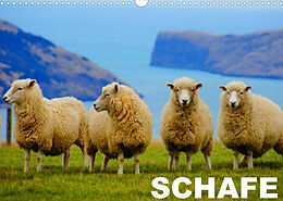 Kalender Schafe / Geburtstagskalender (Wandkalender 2022 DIN A3 quer) von Elisabeth Stanzer