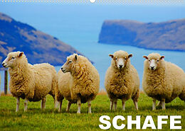 Kalender Schafe / Geburtstagskalender (Wandkalender 2022 DIN A2 quer) von Elisabeth Stanzer
