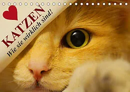 Kalender Katzen  Wie sie wirklich sind! (Tischkalender 2022 DIN A5 quer) von Elisabeth Stanzer