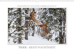 Kalender Emotionale Momente: Tiger - Kraft &amp; Schönheit. / CH-Version (Wandkalender 2022 DIN A3 quer) von Ingo Gerlach GDT