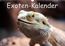 Kalender Exoten-Kalender (Wandkalender 2022 DIN A3 quer) von Bernd Witkowski