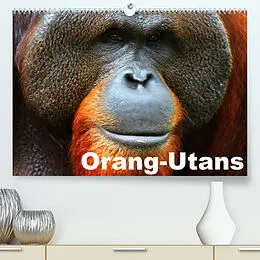 Kalender Orang-Utans (Premium, hochwertiger DIN A2 Wandkalender 2022, Kunstdruck in Hochglanz) von Elisabeth Stanzer