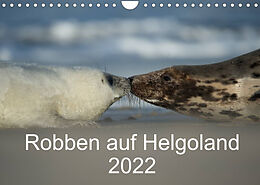Kalender Robben auf Helgoland 2022CH-Version (Wandkalender 2022 DIN A4 quer) von Stefan Leimer