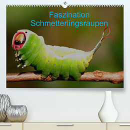 Kalender Faszination Schmetterlingsraupen (Premium, hochwertiger DIN A2 Wandkalender 2022, Kunstdruck in Hochglanz) von Winfried Erlwein