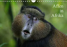 Kalender Affen in Afrika (Wandkalender 2022 DIN A4 quer) von Michael Herzog