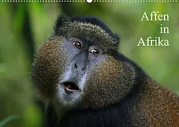 Kalender Affen in Afrika (Wandkalender 2022 DIN A2 quer) von Michael Herzog