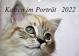 Kalender Katzen im Porträt / Geburtstagskalender (Wandkalender 2022 DIN A3 quer) von Jennifer Chrystal