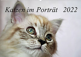 Kalender Katzen im Porträt / Geburtstagskalender (Wandkalender 2022 DIN A2 quer) von Jennifer Chrystal