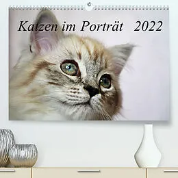 Kalender Katzen im Porträt / Geburtstagskalender (Premium, hochwertiger DIN A2 Wandkalender 2022, Kunstdruck in Hochglanz) von Jennifer Chrystal