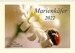 Kalender Marienkäfer / 2022 (Wandkalender 2022 DIN A3 quer) von Ulrike Adam, madebyulli.de