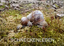 Kalender Schneckenleben (Tischkalender 2022 DIN A5 quer) von Elken Schlüfter