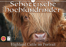 Kalender Schottische Hochlandrinder - Highland Cattle im Portrait (Wandkalender 2022 DIN A4 quer) von Martina Cross