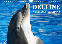 Kalender Delfine - Lächelnde Intelligenz (Wandkalender 2022 DIN A4 quer) von Elisabeth Stanzer