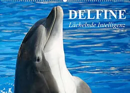 Kalender Delfine - Lächelnde Intelligenz (Wandkalender 2022 DIN A2 quer) von Elisabeth Stanzer