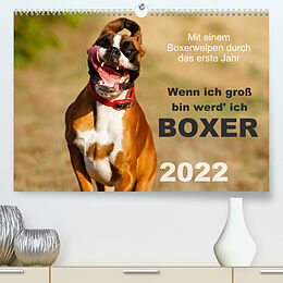 Kalender Wenn ich groß bin werd' ich Boxer (Premium, hochwertiger DIN A2 Wandkalender 2022, Kunstdruck in Hochglanz) von Kerstin Mielke