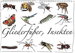 Kalender Gliederfüßer und Insekten (Wandkalender 2022 DIN A4 quer) von Ralf Conrad