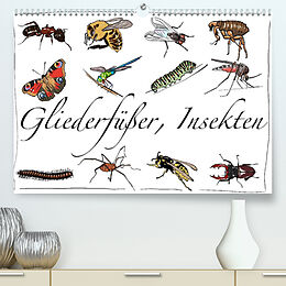 Kalender Gliederfüßer und Insekten (Premium, hochwertiger DIN A2 Wandkalender 2022, Kunstdruck in Hochglanz) von Ralf Conrad