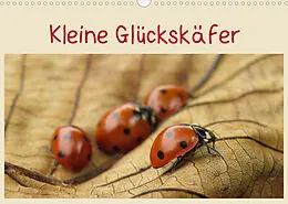 Kalender Kleine Glückskäfer (Wandkalender 2022 DIN A3 quer) von Judith Doberstein