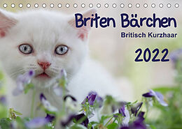 Kalender Briten Bärchen  Britsch Kurzhaar 2022 (Tischkalender 2022 DIN A5 quer) von Heidi Bollich