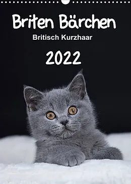 Kalender Briten Bärchen  Britisch Kurzhaar 2022 (Wandkalender 2022 DIN A3 hoch) von Heidi Bollich