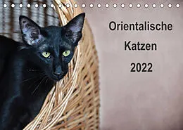 Kalender Orientalische Katzen (Tischkalender 2022 DIN A5 quer) von Heidi Bollich