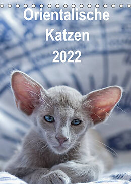 Kalender Orientalische Katzen 2022 (Tischkalender 2022 DIN A5 hoch) von Heidi Bollich