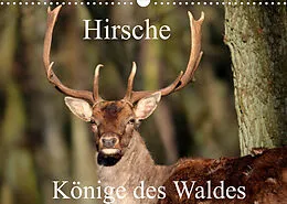 Kalender Hirsche - Könige des Waldes/Geburtstagskalender (Wandkalender 2022 DIN A3 quer) von Arno Klatt