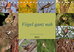 Kalender Vögel ganz nah (Tischkalender 2022 DIN A5 quer) von Winfried Erlwein