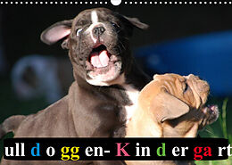 Kalender Bulldoggen-Kindergarten (Wandkalender 2022 DIN A3 quer) von Elisabeth Stanzer