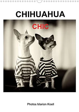 Kalender CHIHUAHUA CHIC Photos Marion Koell (Wandkalender 2022 DIN A3 hoch) von Marion Koell