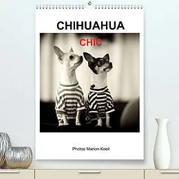 Kalender CHIHUAHUA CHIC Photos Marion Koell (Premium, hochwertiger DIN A2 Wandkalender 2022, Kunstdruck in Hochglanz) von Marion Koell