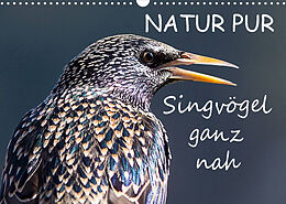 Kalender NATUR PUR - Singvögel ganz nah (Wandkalender 2022 DIN A3 quer) von Karin Dietzel