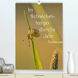 Kalender Im Schneckentempo durchs Jahr / Familienplaner (Premium, hochwertiger DIN A2 Wandkalender 2022, Kunstdruck in Hochglanz) von Andrea Potratz