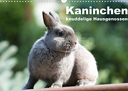 Kalender Kaninchen - knuddelige Hausgenossen (Wandkalender 2022 DIN A3 quer) von Fotodesign Verena Scholze