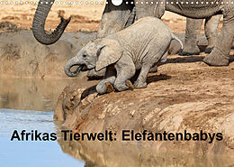 Kalender Afrikas Tierwelt: Elefantenbabys (Wandkalender 2022 DIN A3 quer) von Michael Voß