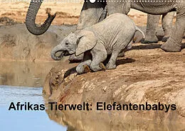 Kalender Afrikas Tierwelt: Elefantenbabys (Wandkalender 2022 DIN A2 quer) von Michael Voß
