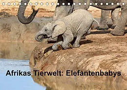 Kalender Afrikas Tierwelt: Elefantenbabys (Tischkalender 2022 DIN A5 quer) von Michael Voß