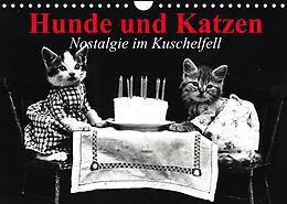 Kalender Hunde und Katzen - Nostalgie im Kuschelfell (Wandkalender 2022 DIN A4 quer) von Elisabeth Stanzer