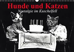 Kalender Hunde und Katzen - Nostalgie im Kuschelfell (Wandkalender 2022 DIN A3 quer) von Elisabeth Stanzer