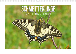 Kalender Schmetterlinge: zart und bunt (Wandkalender 2022 DIN A3 quer) von Karl-Hermann Althaus
