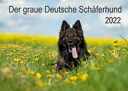 Kalender Der graue Deutsche Schäferhund (Wandkalender 2022 DIN A2 quer) von Petra Schiller