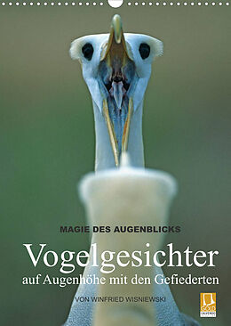 Kalender Magie des Augenblicks - Vogelgesichter - auf Augenhöhe mit den Gefiederten (Wandkalender 2022 DIN A3 hoch) von Winfried Wisniewski