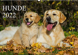 Kalender Hunde - Treue Freunde für´s Leben (Wandkalender 2022 DIN A2 quer) von Sigrid Starick