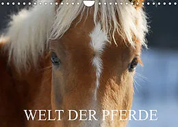 Kalender Welt der Pferde (Wandkalender 2022 DIN A4 quer) von Sigrid Starick