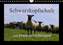 Kalender Schwarzkopfschafe am Deich in Ostfriesland (Wandkalender 2022 DIN A4 quer) von Rolf Pötsch