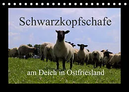 Kalender Schwarzkopfschafe am Deich in Ostfriesland (Tischkalender 2022 DIN A5 quer) von Rolf Pötsch