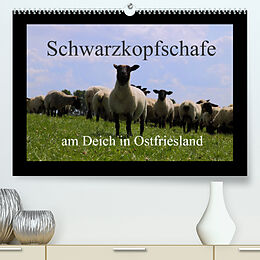 Kalender Schwarzkopfschafe am Deich in Ostfriesland (Premium, hochwertiger DIN A2 Wandkalender 2022, Kunstdruck in Hochglanz) von Rolf Pötsch