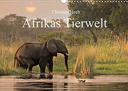 Kalender Afrikas Tierwelt Christian Heeb (Wandkalender 2022 DIN A3 quer) von Christian Heeb