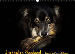 Kalender Australian Shepherd - Traum auf vier Pfoten (Wandkalender 2022 DIN A3 quer) von Andrea Mayer Tierfotografie
